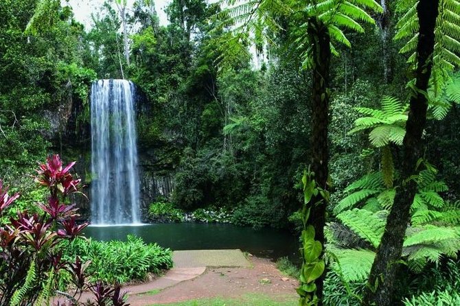 Paronella Park and Millaa Millaa Falls Full-day Tour from Cairns - Millaa Millaa Falls: photos, cold water, and rocky footing
