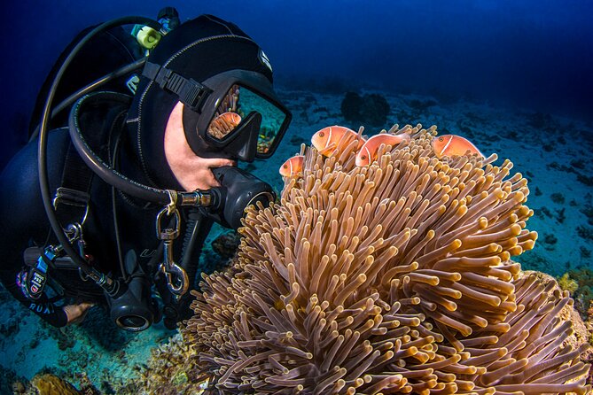 Passions of Paradise Great Barrier Reef Cruise by Catamaran - Snorkeling with support in the water