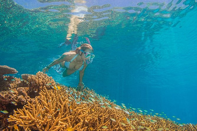Passions of Paradise Great Barrier Reef Cruise by Catamaran - Who gets the best value from this cruise