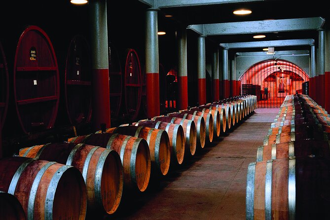Penfolds Magill Estate Iconic Experience - Key points to know before you book