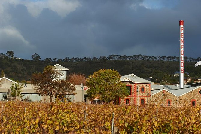 Penfolds Magill Estate Iconic Experience - Through the vintage cellar and underground drives