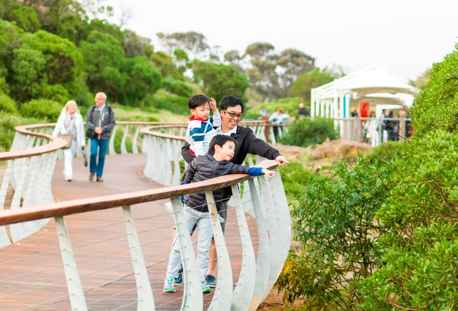 Penguin Parade: General Viewing Ticket - Key points to know before you go