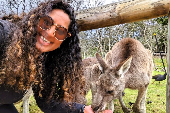 Penguin Parade, & Wildlife Encounters Eco Tour from Melbourne - Moonlit Sanctuary and Australia’s native animals