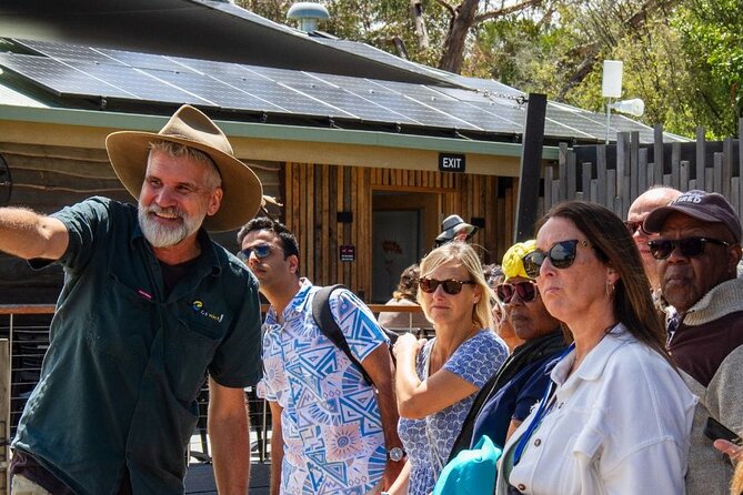 Penguin Parade, & Wildlife Encounters Eco Tour from Melbourne - Waiting for the parade at Phillip Island