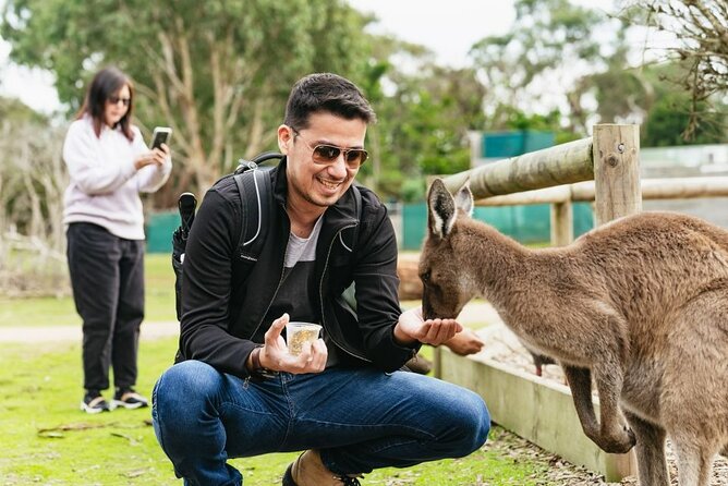 Penguin Parade, & Wildlife Encounters Eco Tour from Melbourne - What the $118.35 price includes