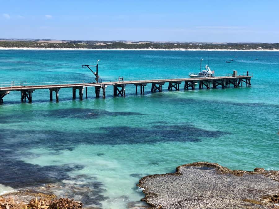 Penneshaw: Shore Excursion Kangaroo Island Scenic Tour - What the bus ride means for your day