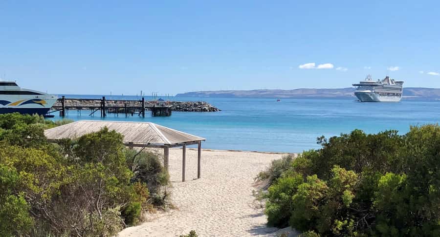 Penneshaw: Shore Excursion Kangaroo Island Scenic Tour - Who should book this Kangaroo Island tour?