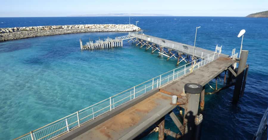 Penneshaw: Shore Excursion Kangaroo Island Scenic Tour - Final verdict: a smart cruise-day choice