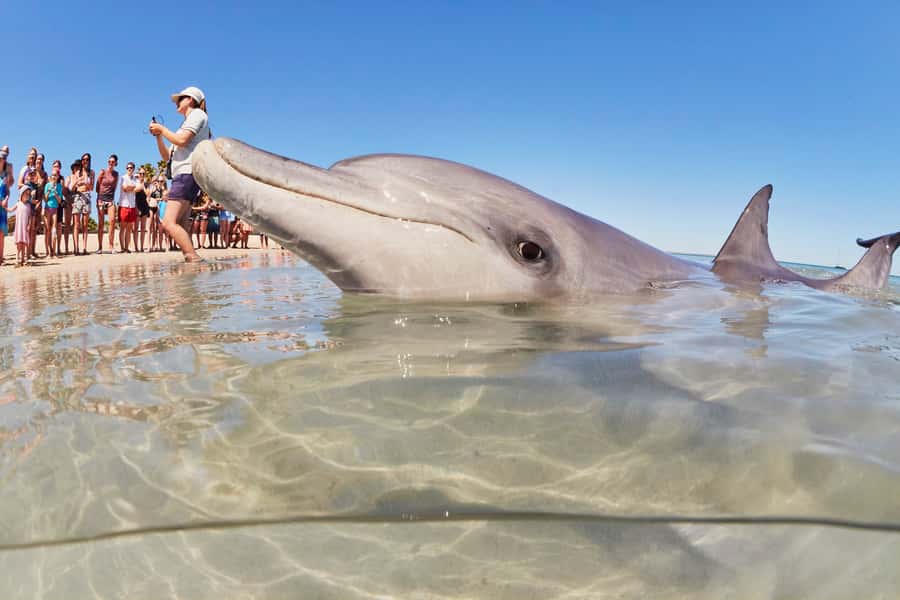 Perth: 7 Day Exmouth Explorer & Ningaloo Reef Return Perth - The long return south through Carnarvon and Geraldton