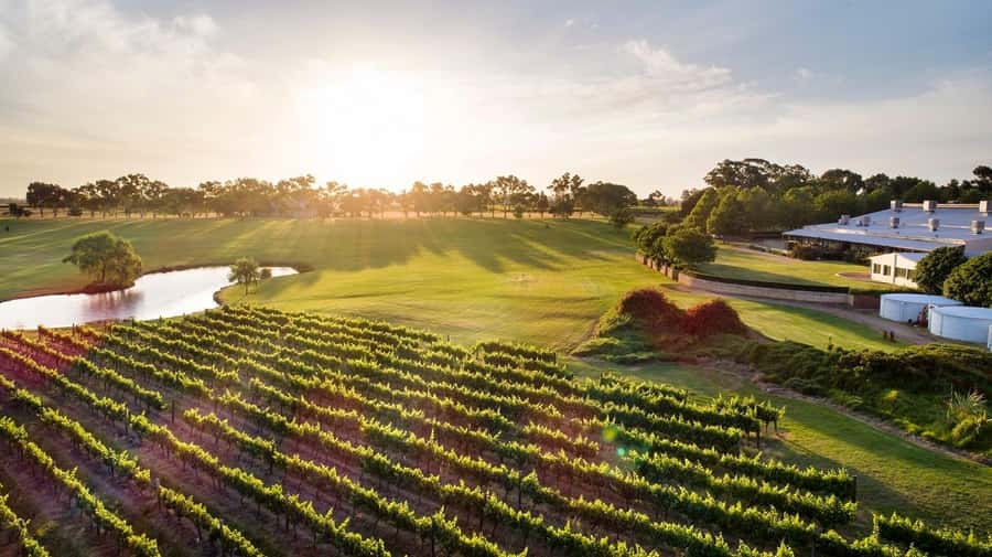 Perth: Full Day Swan Valley Cruise & Wine Tasting With Lunch - Why this Perth wine tour works so well