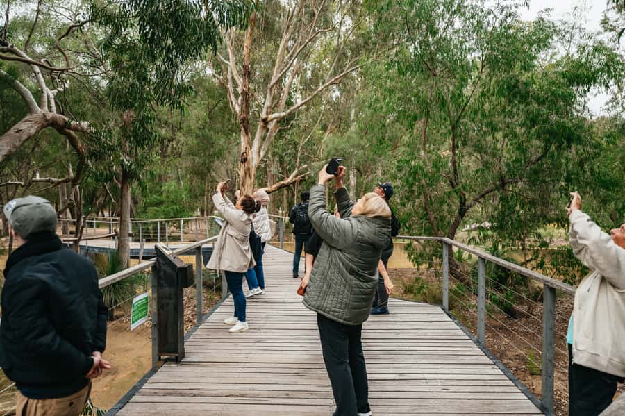 Perth: Pinnacles Desert Sunset & Stargazing with Dinner - Who should book this trip?
