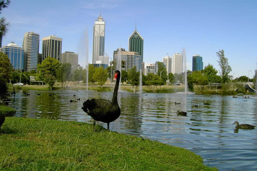 Perth Riverside Segway Tour - Key points at a glance