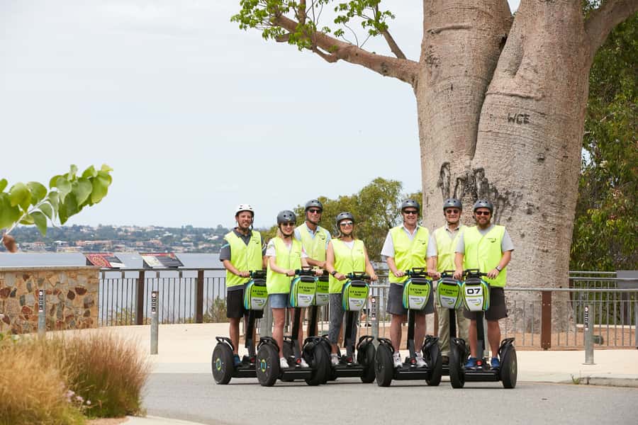 Perth Segway 1.5 Hour Kings Park Tour - The Avenue of Honour and the bush paths