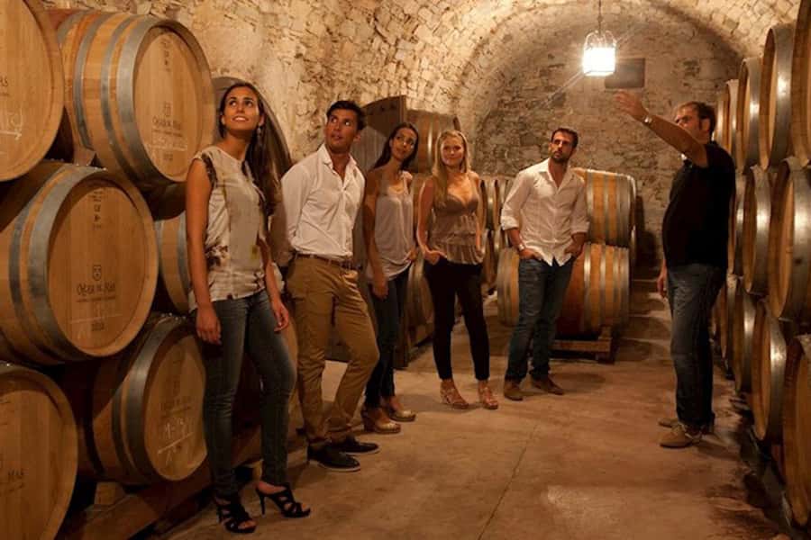Perth VIP Swan Valley Wine Tour - Premium Small Group Tour - Two afternoon stops with family-run producers