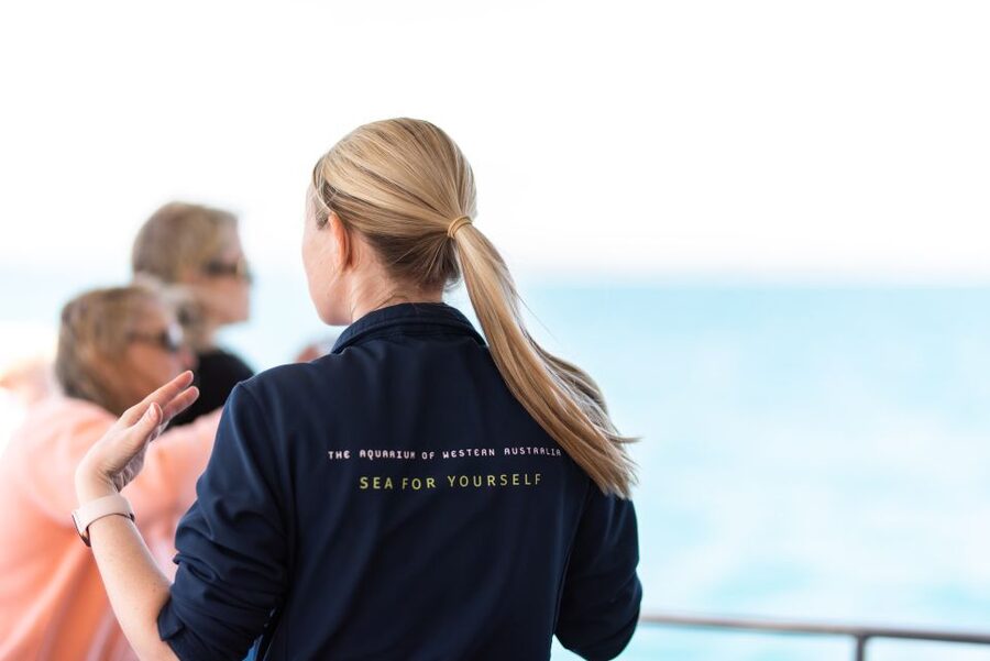 Perth: Whale Watching Cruise from Hillarys Boat Harbour - September to November is the key timing