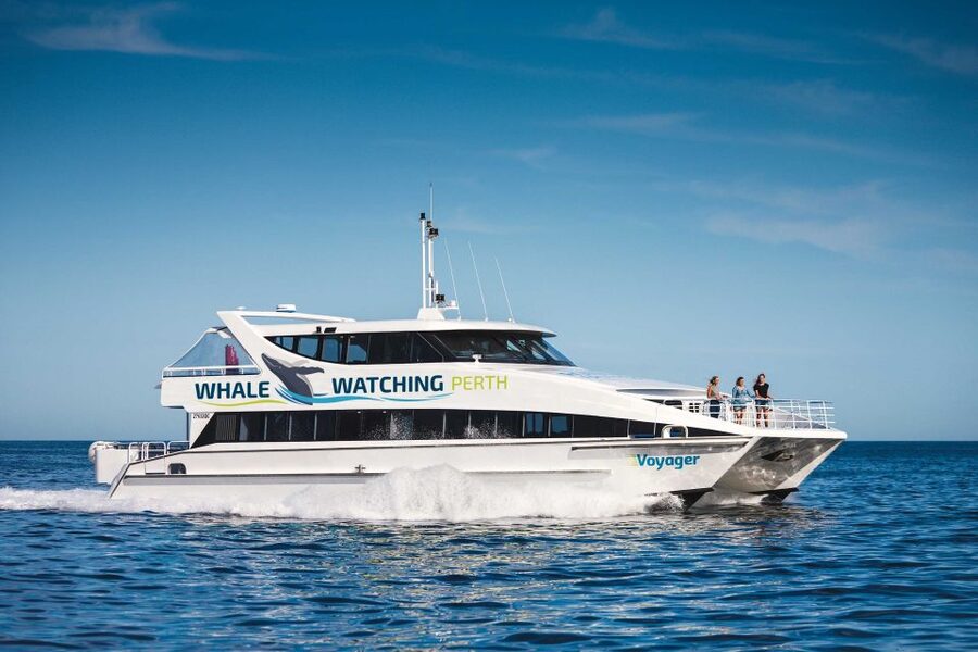 Perth: Whale Watching Cruise from Hillarys Boat Harbour - Close encounters, photographs, and the open deck