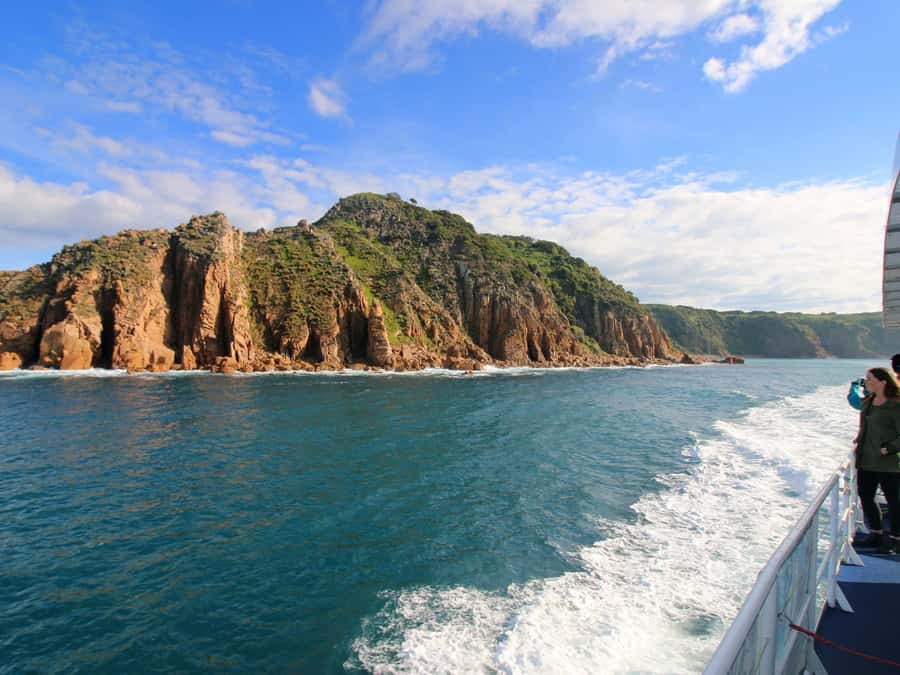 Philip Island: Dolphin and Whale Cruise - Respect for wildlife is part of the value