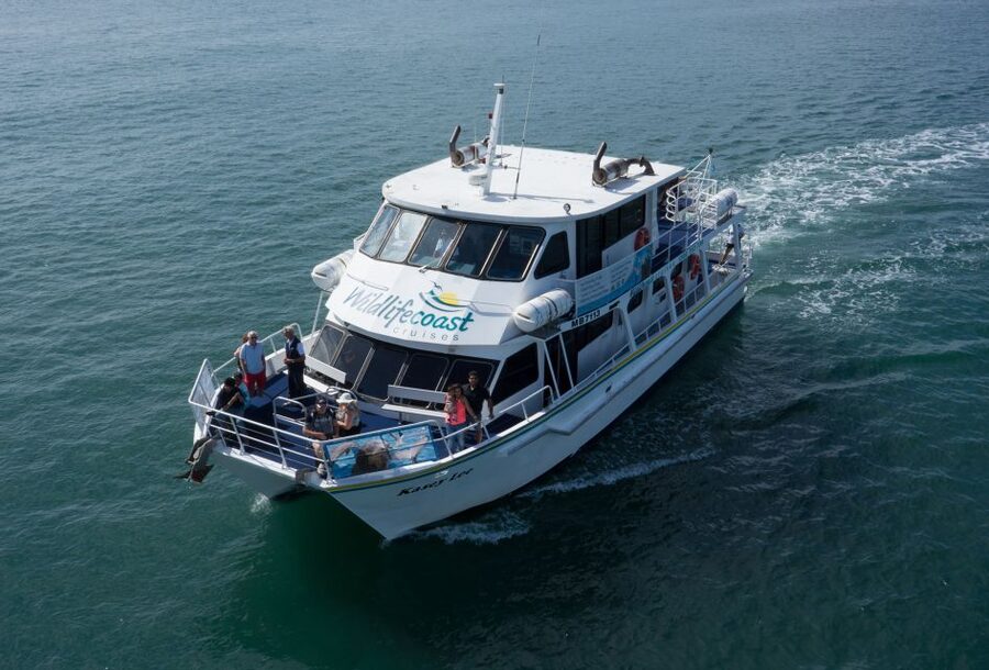 Philip Island: Dolphin and Whale Cruise - Is $95 good value for three hours?