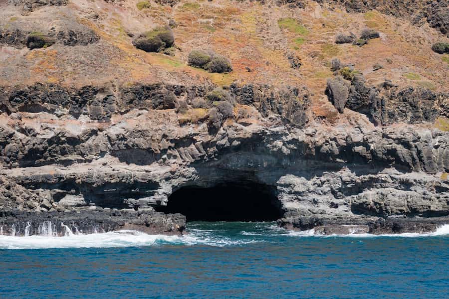 Philip Island: Seal Watching Cruise - Who should take this cruise?