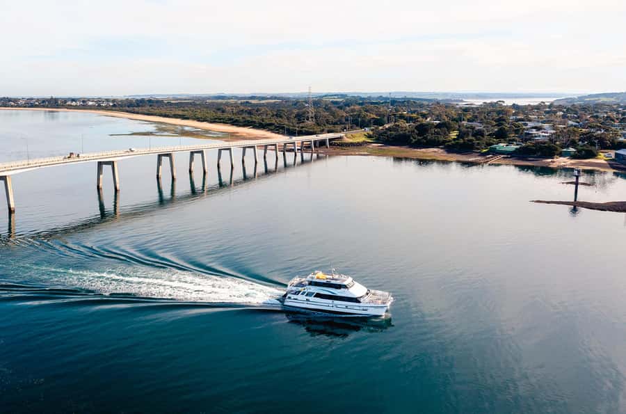 Phillip Island: 1-Hour Cape Woolamai Scenic Cruise - Is the $34 price good value?