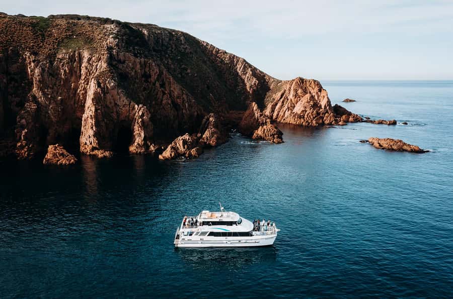 Phillip Island: 1-Hour Cape Woolamai Scenic Cruise - Practical tips for a smoother outing