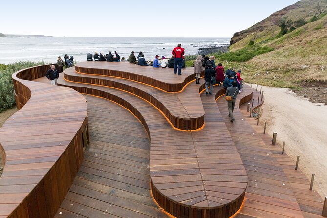 Phillip Island Day Trip from Melbourne with Penguin Plus Viewing Platform - Waiting for the Penguin Parade