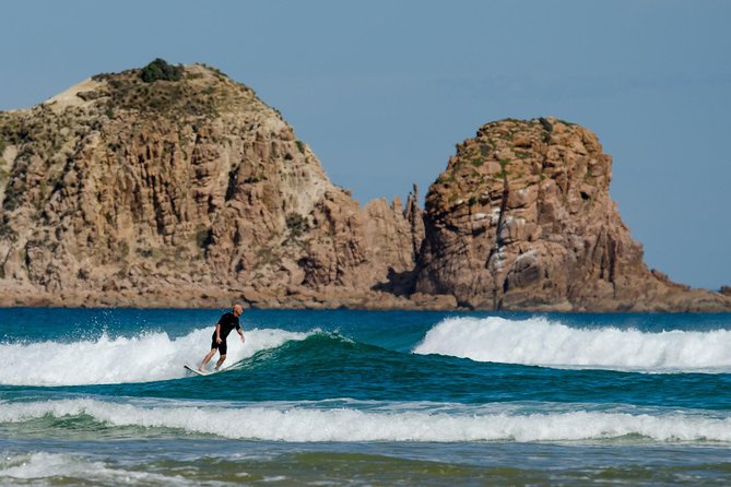 Phillip Island Day Trip from Melbourne with Penguin Plus Viewing Platform - How much value do you get for $172.14?