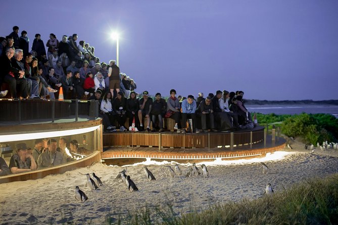 Phillip Island Day Trip from Melbourne with Penguin Plus Viewing Platform - Phillip Island and the short stop in Cowes