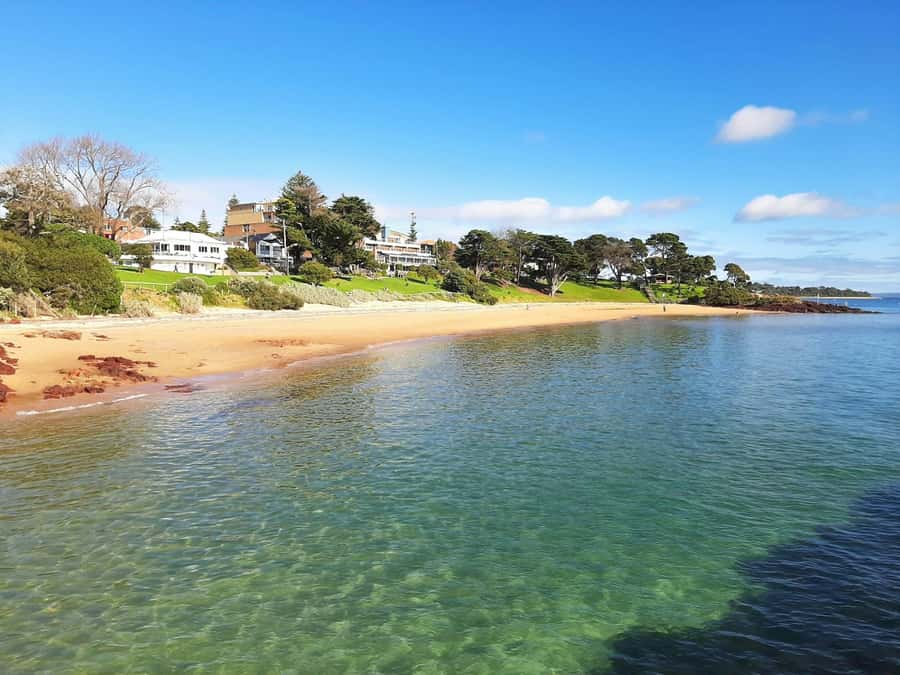 Phillip Island: Golden Hour Penguin Express Tour - How much value do you get for $92?