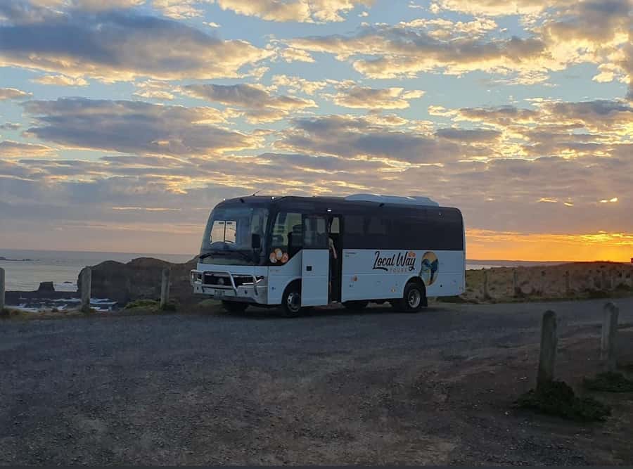 Phillip Island: Golden Hour Penguin Express Tour - Who will enjoy this outing most