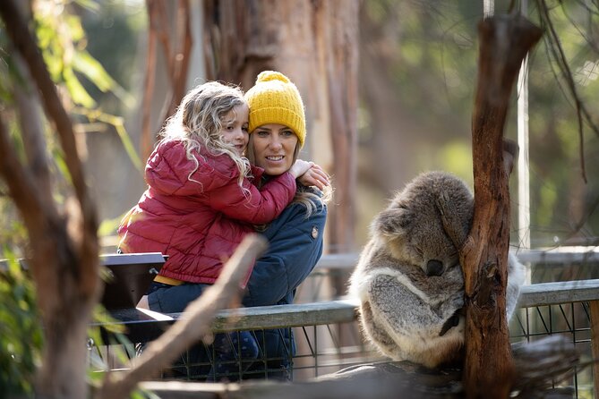 Phillip Island Penguin and Koala Highlights Day-Trip from Melbourne - Cowes gives you a useful meal break