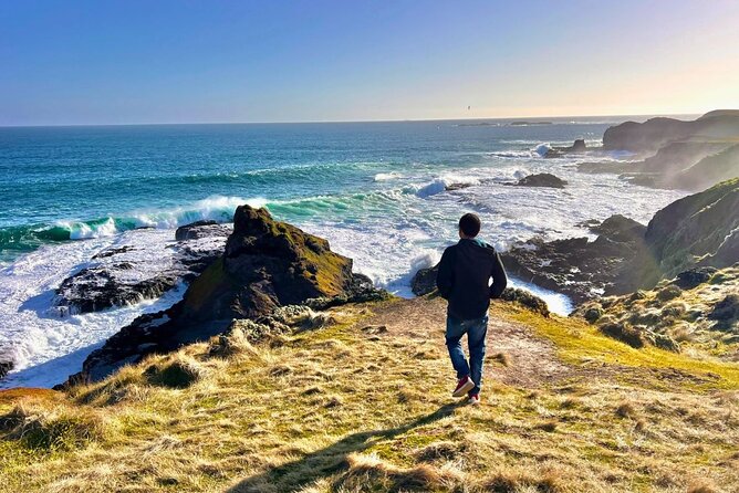 Phillip Island & Penguin Parade Afternoon Eco Tour from Melbourne - The little penguins are worth the late return