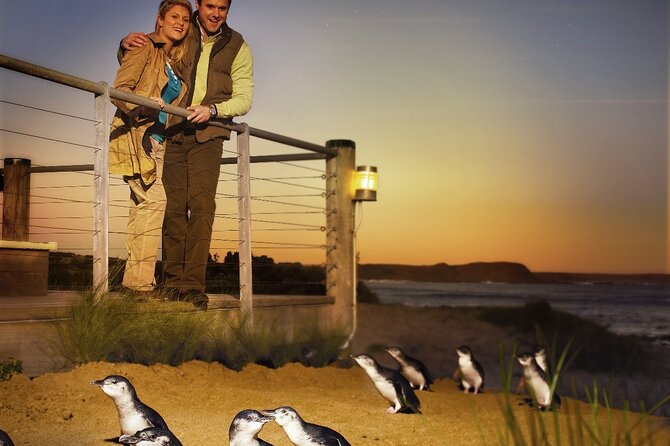 Phillip Island & Penguin Parade Afternoon Eco Tour from Melbourne - Cape Woolamai gives the afternoon a scenic start