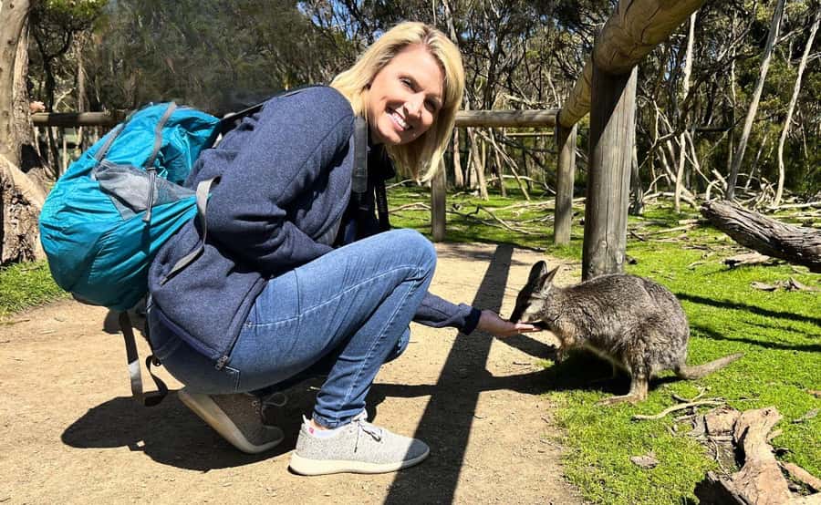 Phillip Island Penguin Parade with Expert Local Guide - Two hours at the Penguin Parade