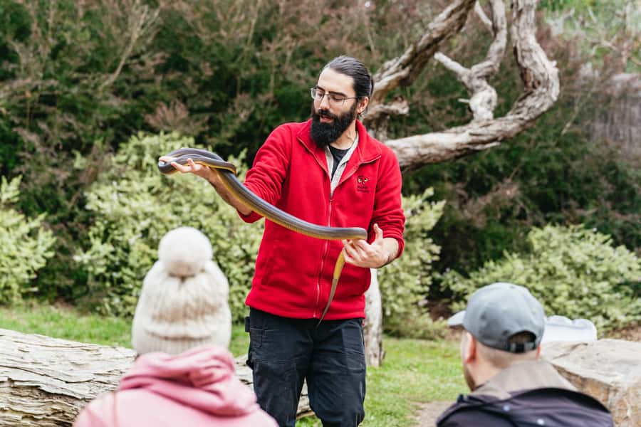 Phillip Island Penguin Parade with Expert Local Guide - A guide can make or break a 12-hour route
