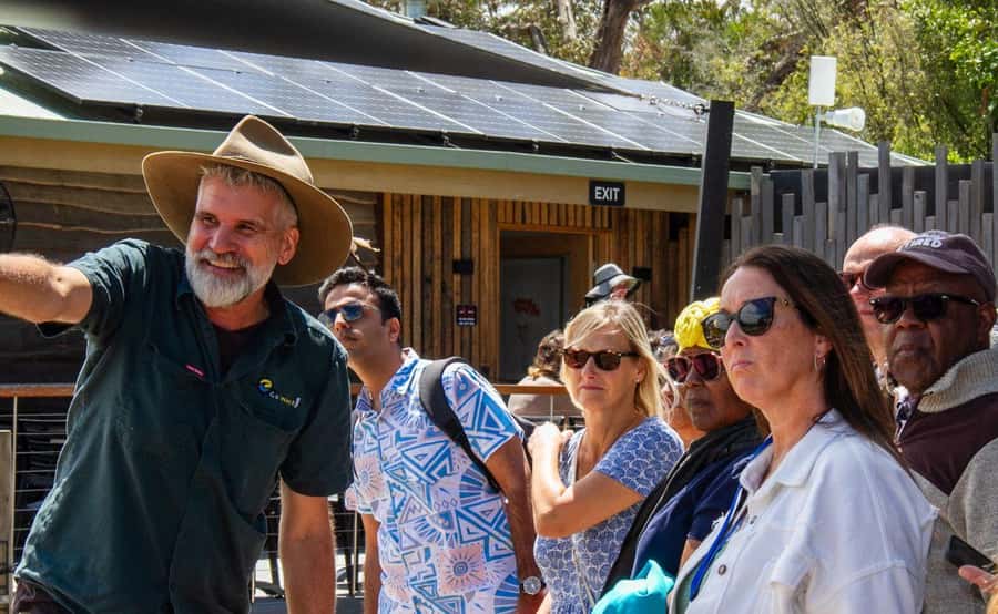 Phillip Island Penguin Parade with Expert Local Guide - Who should choose this Phillip Island tour?