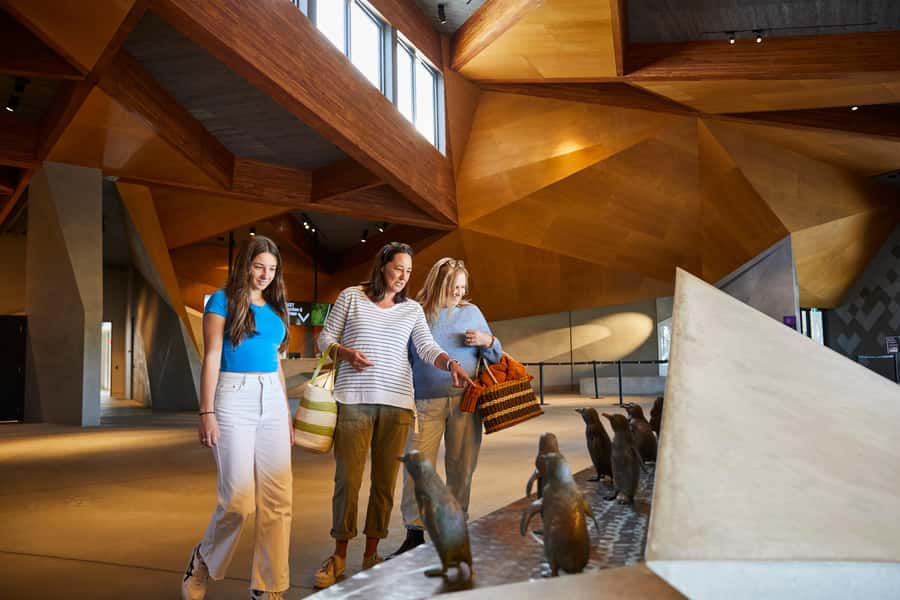 Phillip Island: Penguins and Wildlife Full-Day Tour - Timing, comfort, and small details that matter