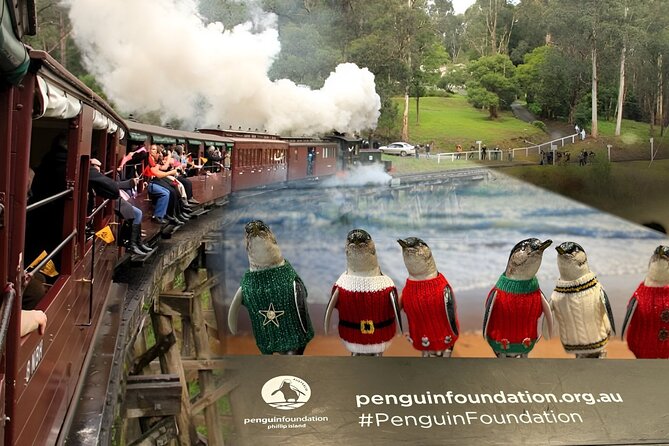 Phillip Island Penguins & Wildlife Day Tour from Melbourne - Food, clothing, and what to pack
