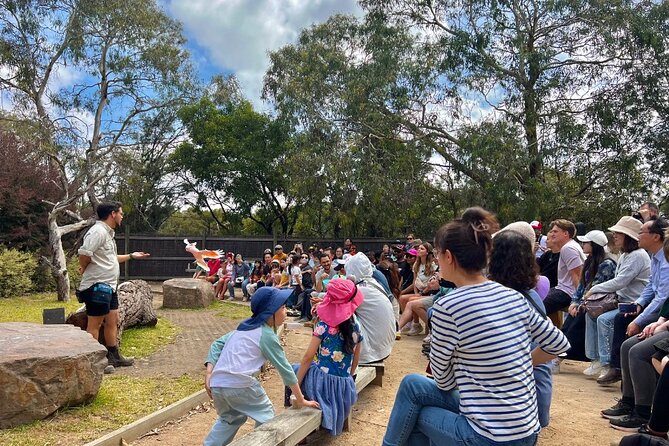 Phillip Island Penguins & Wildlife Day Tour from Melbourne - Who should book this Phillip Island tour?