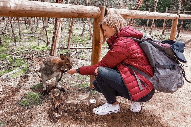 Phillip Island Penguins & Wildlife Day Tour from Melbourne - Cape Woolamai brings sand, surf, and breathing room