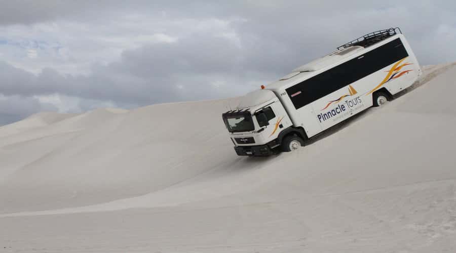Pinnacles, Koalas & Sandboarding Tour Day Trip from Perth - Key points at a glance