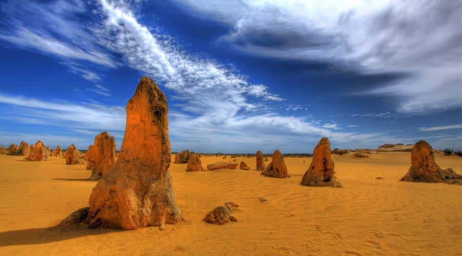 Pinnacles, Koalas & Sandboarding Tour Day Trip from Perth - The road north to Cervantes