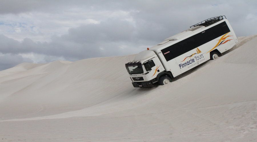 Pinnacles, Koalas & Sandboarding Tour Day Trip from Perth - Who should book this $165 experience?