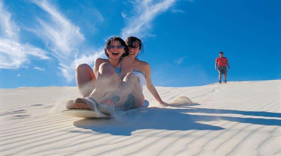 Pinnacles, Koalas & Sandboarding Tour Day Trip from Perth - Caversham Wildlife Park: close encounters with Australian animals