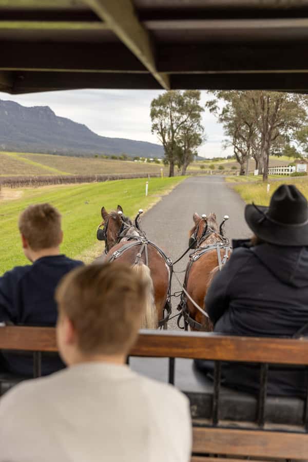 Pokolbin: Harvest the Hunter Horse Drawn Carriage Tour 3hrs - A slower way to see Pokolbin