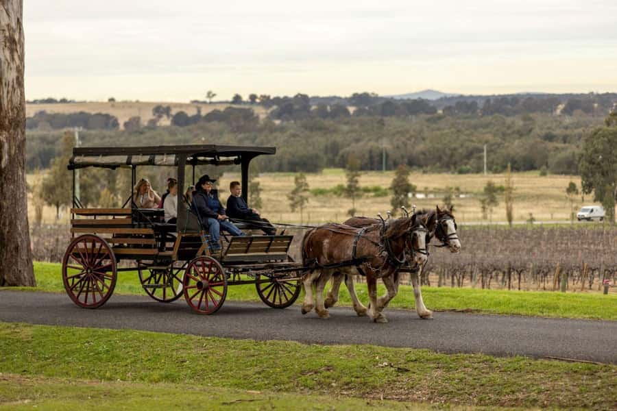Pokolbin: Harvest the Hunter Horse Drawn Carriage Tour 3hrs - Meeting the carriage at Wine House Hunter Valley