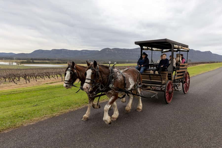 Pokolbin: Harvest the Hunter Horse Drawn Carriage Tour 3hrs - The second hour: another cellar door and a change of style