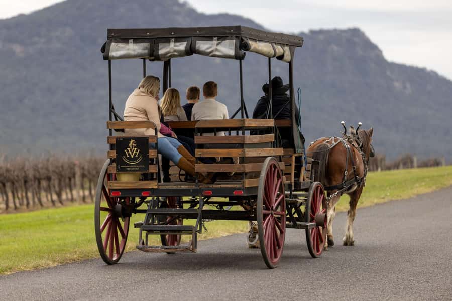 Pokolbin: Harvest the Hunter Horse Drawn Carriage Tour 3hrs - The first hour: country roads and the first winery