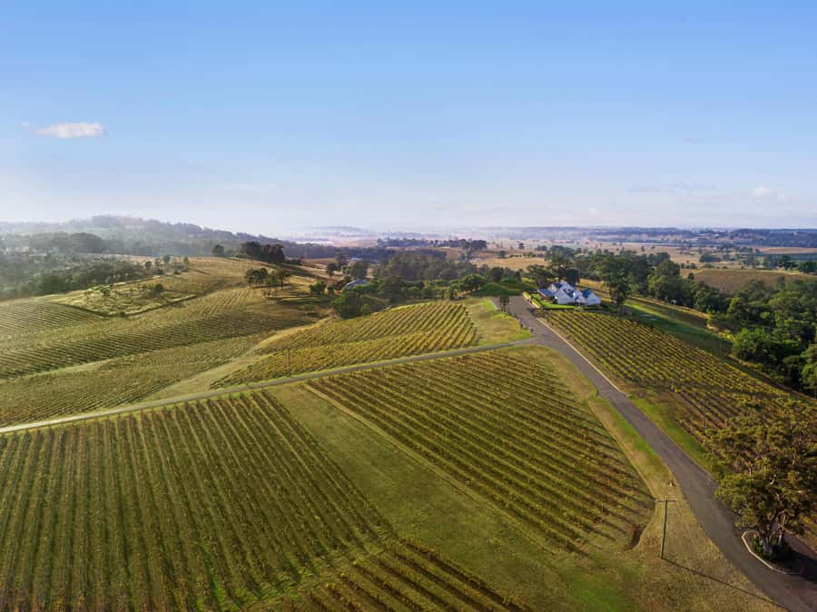 Pokolbin: Picnic & Wine Tasting at Audrey Wilkinson Vineyard - A wine master class before the glasses arrive