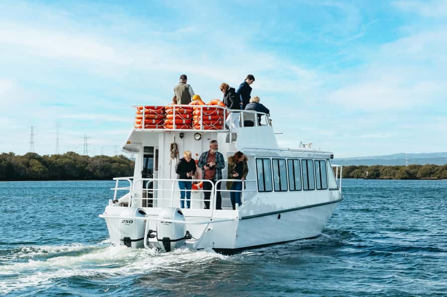 Port Adelaide: Dolphin and Ships Graveyard Cruise - Why Port Adelaide’s river tells a better story than a standard harbor cruise